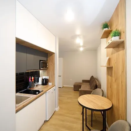 New Point In The Centre Apartment Lviv Exterior photo